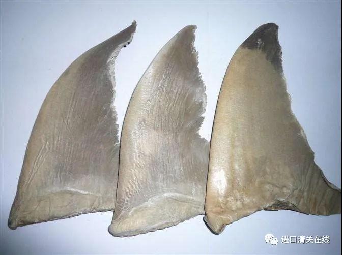 ���|���ν��ڱ������