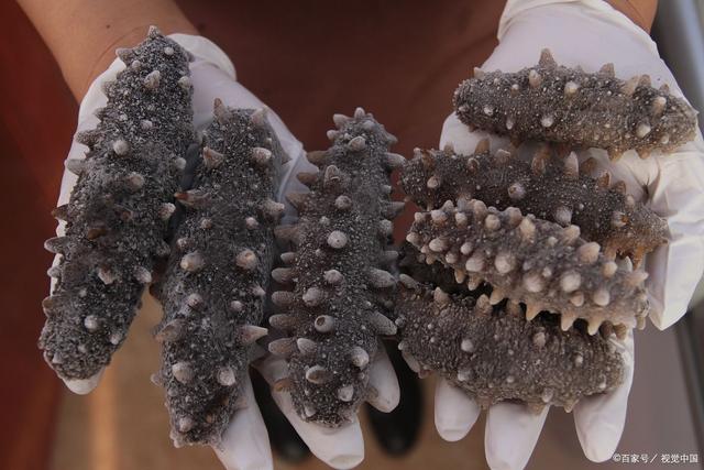 ���ν������