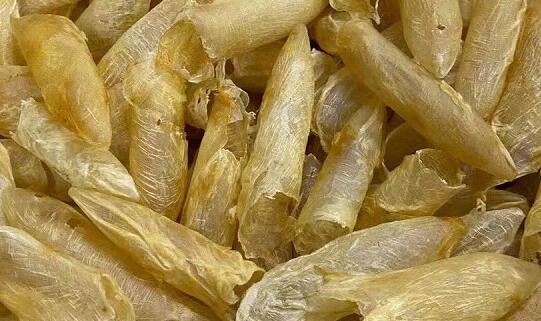 �㽺/�����������