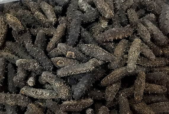 ���ڼӶ����ν��ڱ��ش�����˾